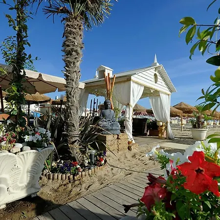 酒店 Thea 加比切马莱