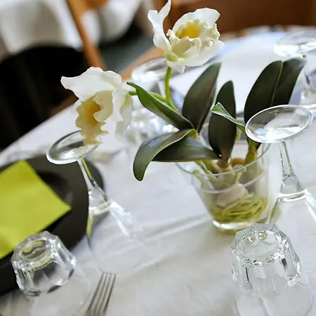 Thea 加比切马莱