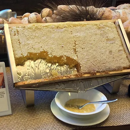 Thea 호텔 가비체 마레